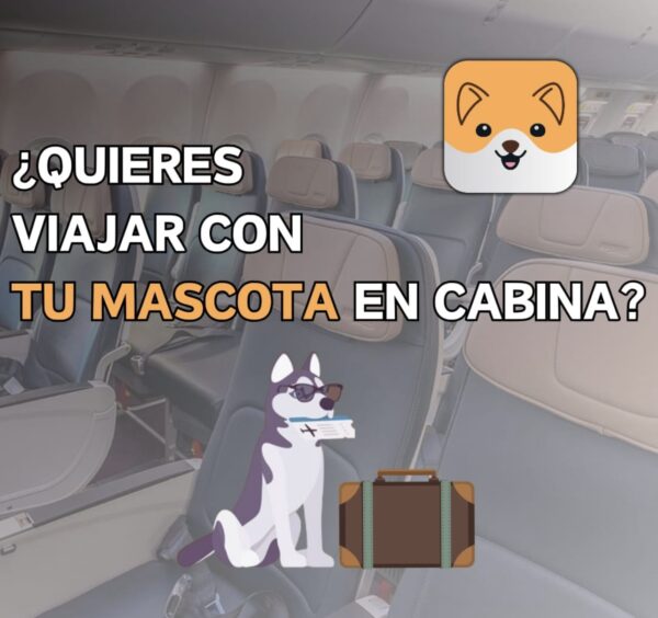CERTIFICADO SALUD NACIONAL DOGS